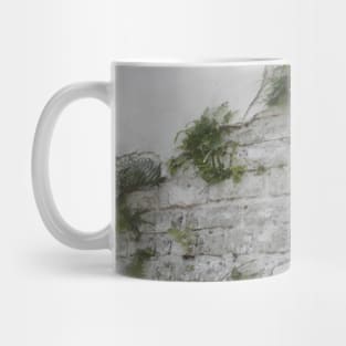 Fern Covered Wall at Lafayette Cemetery in New Orleans Mug